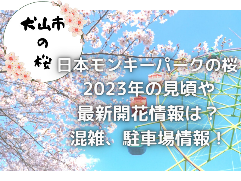 日本モンキーパーク 桜　2023