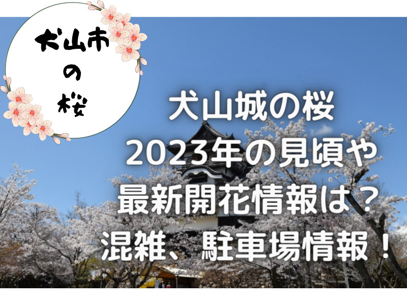 犬山城　お花見　2023年