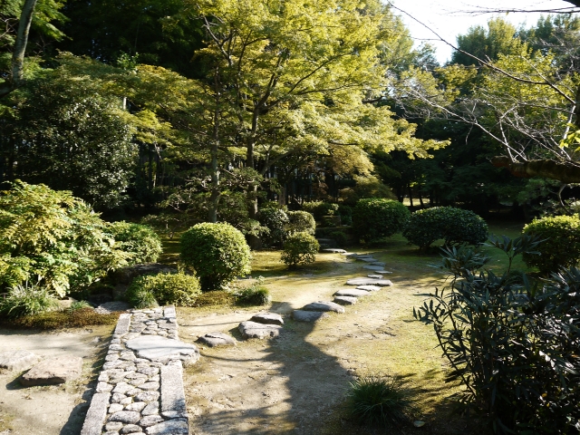 愛知県　犬山市　日本庭園　有楽苑　お庭