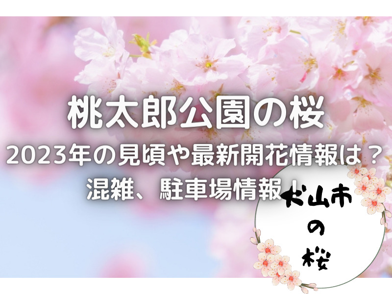 愛知県犬山市　桃太郎公園　桜　2023