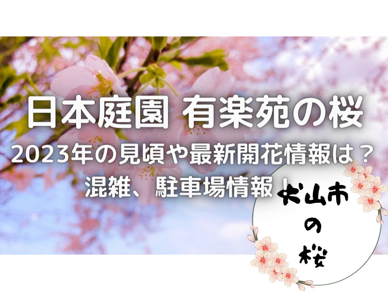 愛知県犬山市　日本庭園　有楽苑　桜　2023