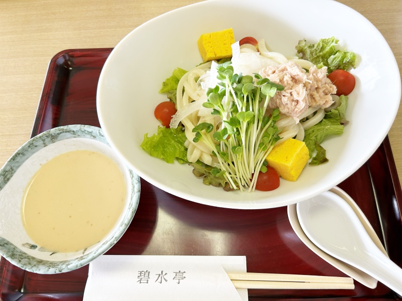 明治村　グルメ　碧水亭　サラダうどん　260614 a