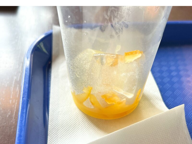 明治村　グルメ　2025　食道楽のカフェ　ゆずオレンジ (1)