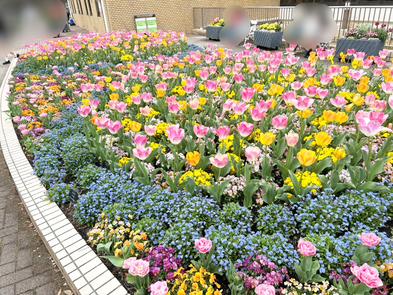 魔女の切符と7つ目の路線 感想 260405 5