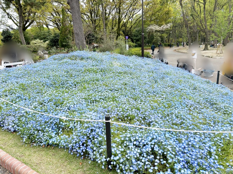 魔女の切符と7つ目の路線 感想 260405 8