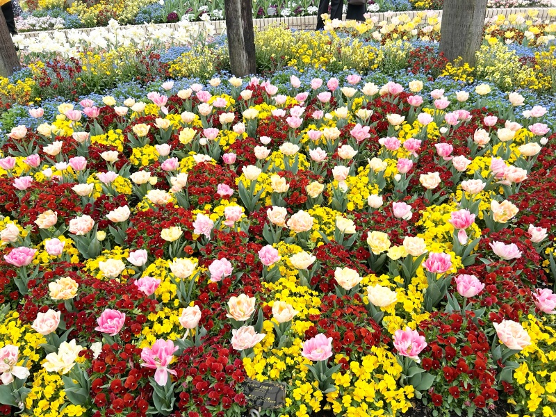 魔女の切符と7つ目の路線 感想 260405 7