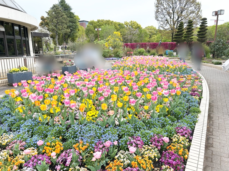 魔女の切符と7つ目の路線 感想 260405 6